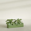 Salon Large Tall Rectangle Fiberglass Planter - 36 in x 8 in x 8 in - Satin Green - Satin Green,36 in x 8 in x 8 in