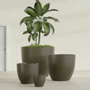 Wannsee Extra Large Round Fiberglass Planter - 50 in x 50 in x 44 in - Matte Bronze - Matte Bronze,50 in x 50 in x 44 in