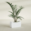 Seoul Large Curved Abstract Fiberglass Planter - 32 in x 12 in x 18 in - Gloss White - Gloss White,32 in x 12 in x 18 in