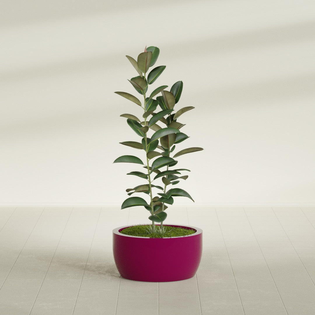 Casablanca Medium Round Low Bowl Fiberglass Planter - 24 in x 24 in x 12 in - Gloss Eggplant - Gloss Eggplant,24 in x 24 in x 12 in