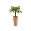 Amsterdam High Large Round Planter - 16 in x 16.25 in x 30 in - Terracotta - Terracotta,16 in x 16.25 in x 30 in,Planter Only