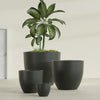 Wannsee Extra Large Round Fiberglass Planter - 50 in x 50 in x 44 in - Matte Charcoal - Matte Charcoal,50 in x 50 in x 44 in