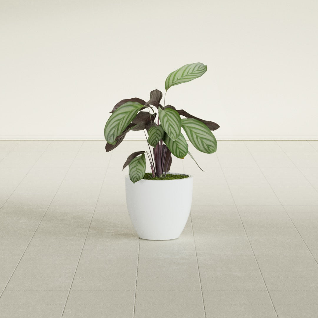 Wannsee Small Round Fiberglass Planter - 15 in x 15 in x 13 in - Matte White - Matte White,15 in x 15 in x 13 in
