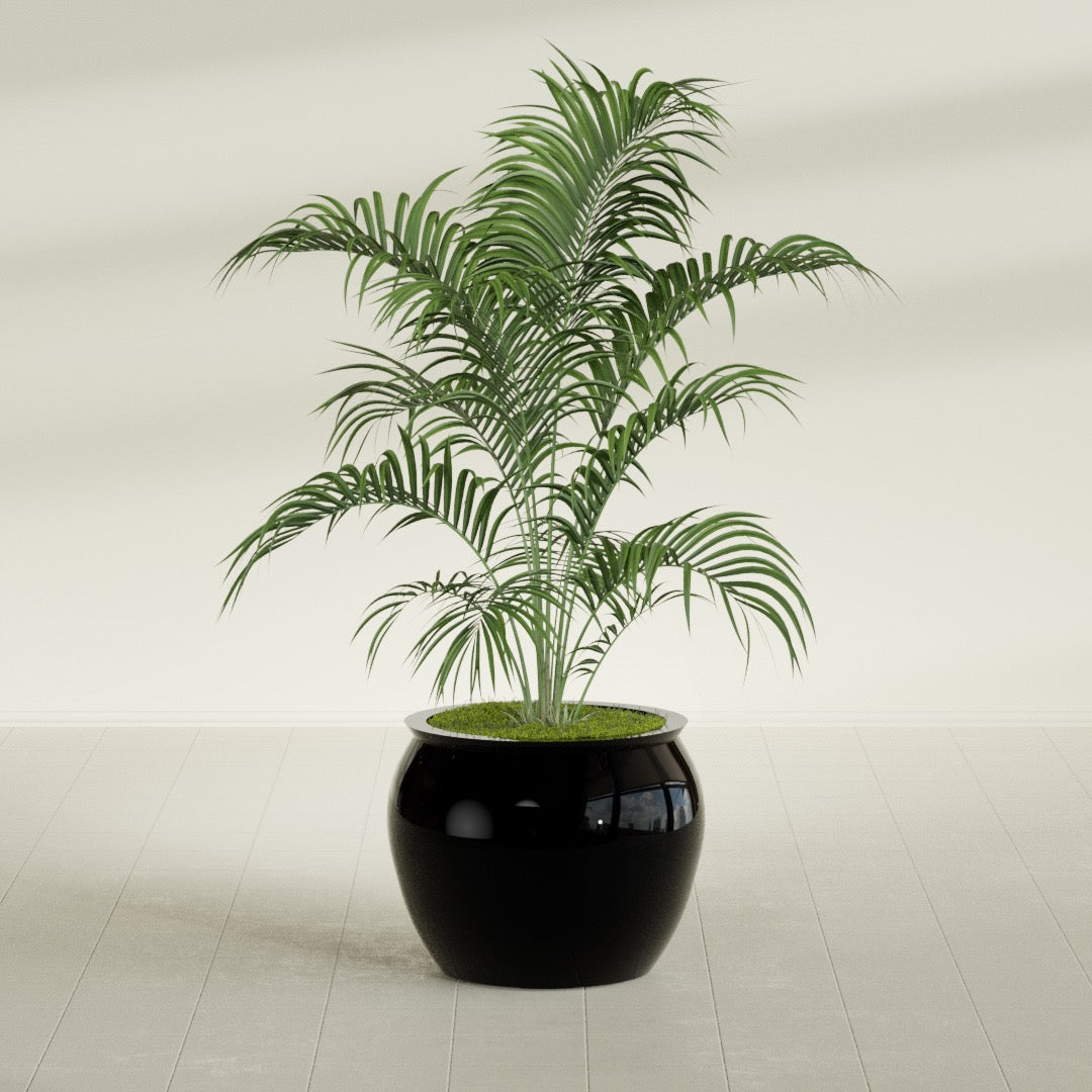 Fishbowl Medium Round Fiberglass Planter - 21.5 in x 21.5 in x 19 in - Gloss Black - Gloss Black,21.5 in x 21.5 in x 19 in