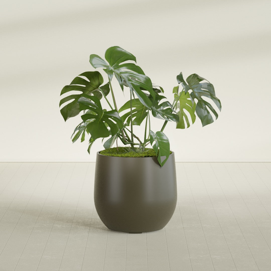 Westfield - 27in diam. x 25in - Matte Bronze - Matte Bronze,27 in diam. x 25 in H