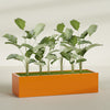 Torino Extra Large Wide Rectangle Fiberglass Planter - 72 in x 24 in x 18 in - Gloss Tangerine - Gloss Tangerine,72 in x 24 in x 18 in
