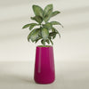 Saigon Extra Large Tapered Round Planter - 19 in x 24 in x 42 in - Gloss Eggplant - Gloss Eggplant,19.2 in x 24.2 in x 42 in