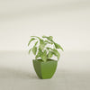 Lima Small Tapered Square Fiberglass Planter - 12 in x 12 in x 12 in - Satin Green - Satin Green,12 in x 12 in x 12 in