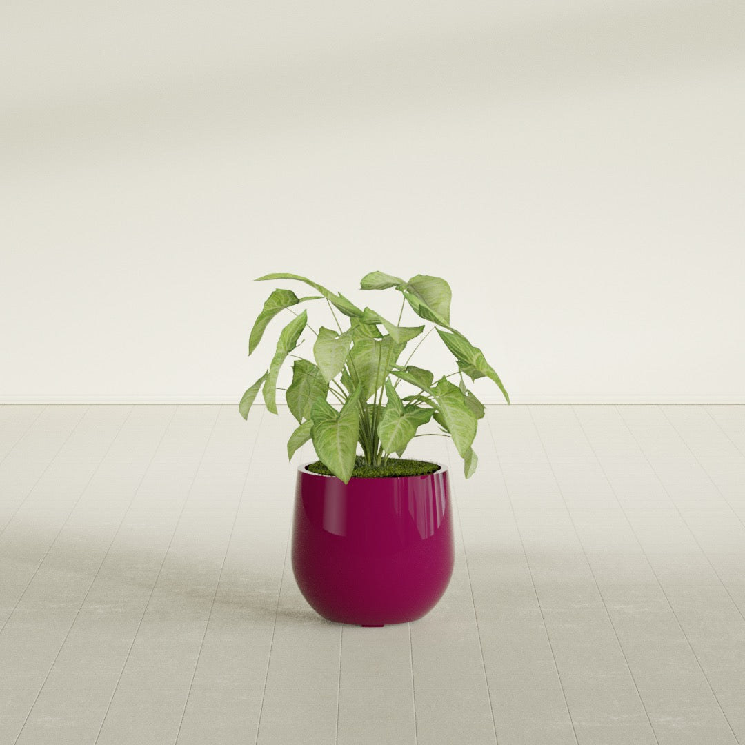 Westfield - 15in diam. x 14in - Gloss Eggplant - Gloss Eggplant,15 in diam. x 14 in H