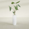 Saint Tropez Large Tall Round Fiberglass Planter - 12 in x 12 in x 32 in - Gloss White - Gloss White,12 in x 12 in x 32 in