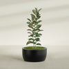 Casablanca Large Round Low Bowl Fiberglass Planter - 30 in x 30 in x 15 in - Matte Black - Matte Black,30 in x 30 in x 15 in