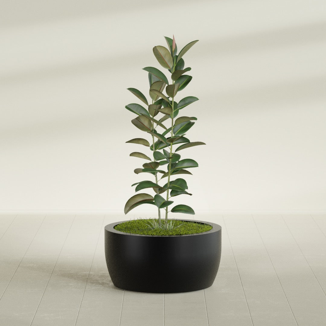 Casablanca Large Round Low Bowl Fiberglass Planter - 30 in x 30 in x 15 in - Matte Black - Matte Black,30 in x 30 in x 15 in