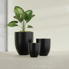 Valencia Medium Round Fiberglass Planter - 20 in x 20 in x 23 in - Matte Black - Matte Black,20 in x 20 in x 23 in
