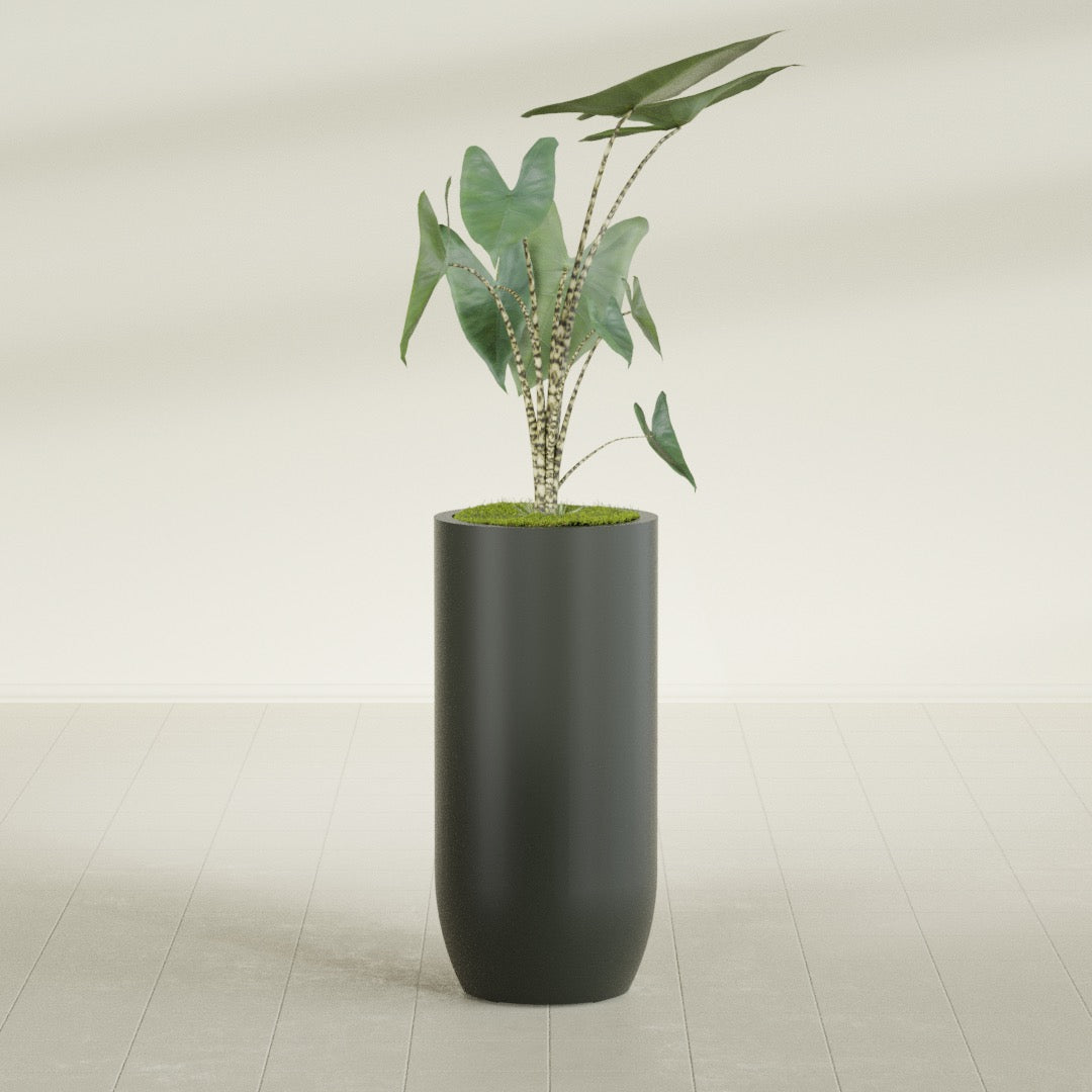 Saint Tropez Large Tall Round Fiberglass Planter - 20 in x 20 in x 43 in - Matte Charcoal - Matte Charcoal,20 in x 20 in x 43 in