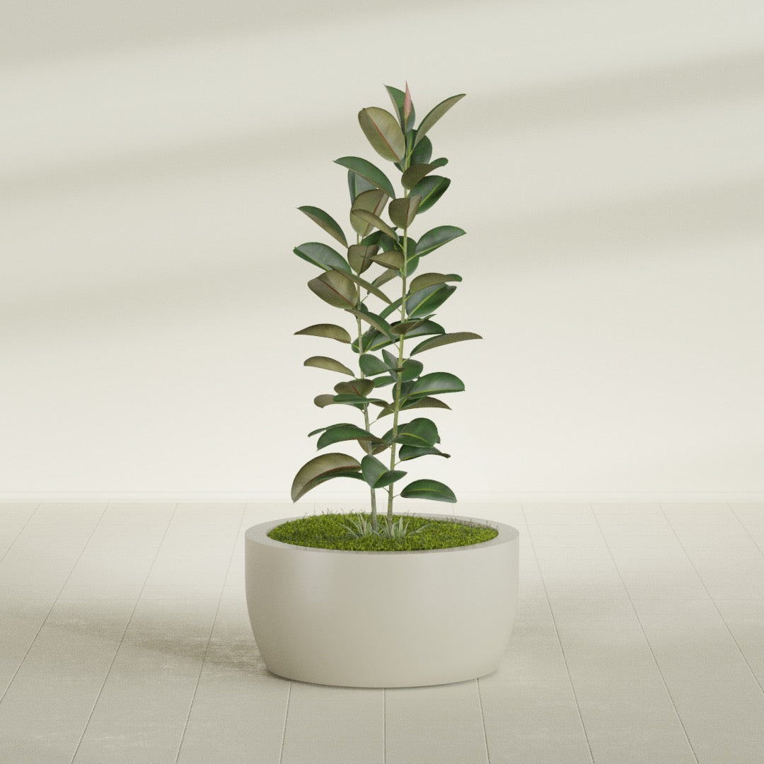 Casablanca Large Round Low Bowl Fiberglass Planter - 30 in x 30 in x 15 in - Satin Beige - Satin Beige,30 in x 30 in x 15 in