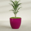 Wannsee Extra Large Round Fiberglass Planter - 50 in x 50 in x 44 in - Gloss Eggplant - Gloss Eggplant,50 in x 50 in x 44 in