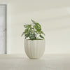 Santa Barbara Medium Round Fiberglass Planter - 23 in x 23 in x 20.3 in - Satin Beige - Satin Beige,23 in x 23 in x 20 in