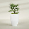 Brannan Large Round Fiberglass Planter - 30 in x 30 in x 41 in - Matte White - Matte White,30 in x 30 in x 41 in