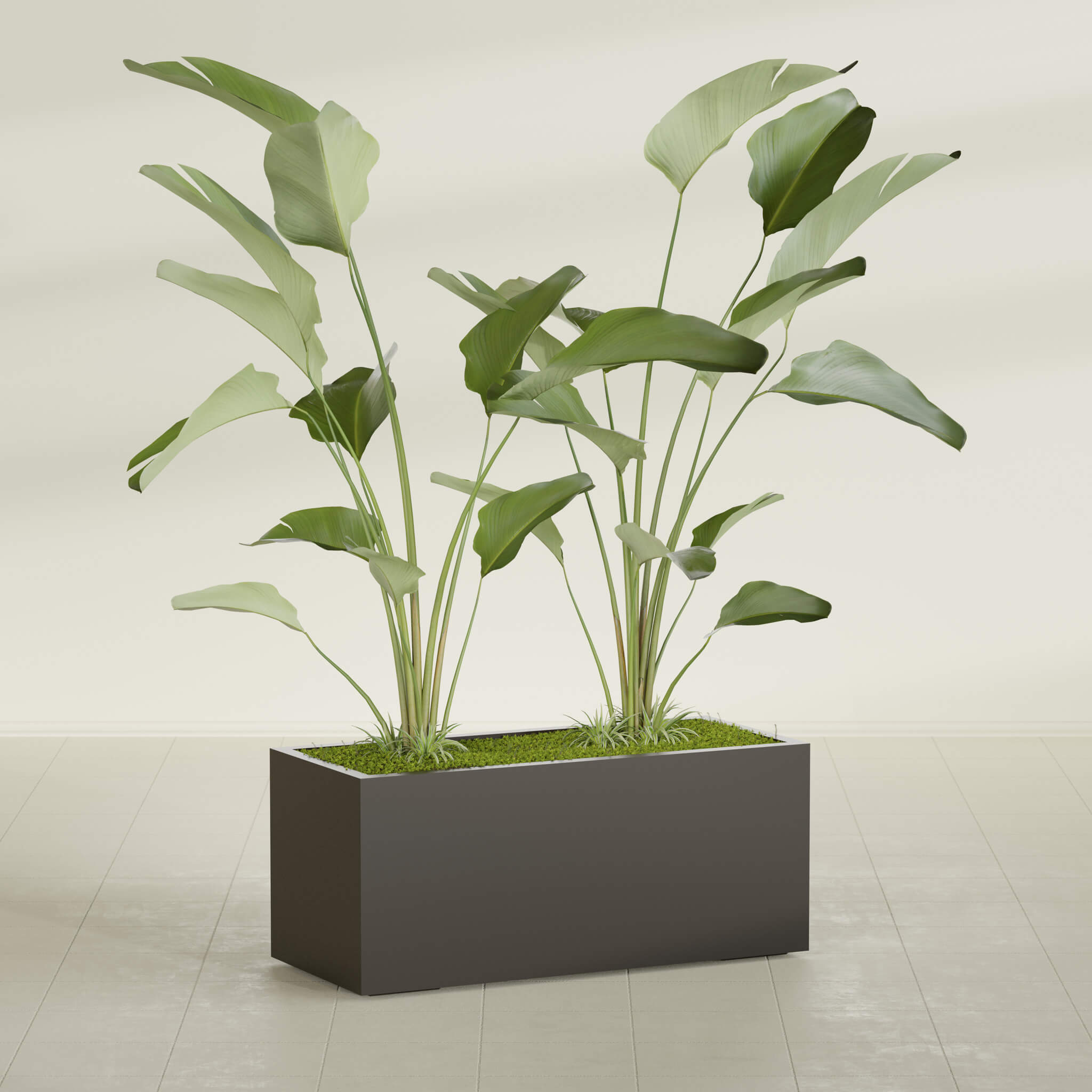 Badalona Large Tall Rectangle Fiberglass Planter - 39 in x 17 in x 17 in - Matte Black - Matte Black,39 in x 17 in x 17 in