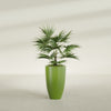 Brannan Medium Round Fiberglass Planter - 18 in x 18 in x 29 in - Satin Green - Satin Green,18 in x 18 in x 29 in