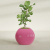Globe Large Sphere Fiberglass Planter - 30 in x 30 in x 24 in - Gloss Pink Violet - Gloss Pink Violet,30 in x 30 in x 24 in
