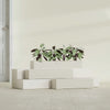 Salon Large Tall Rectangle Fiberglass Planter - 48 in x 8 in x 8 in - Satin Beige - Satin Beige,48 in x 8 in x 8 in