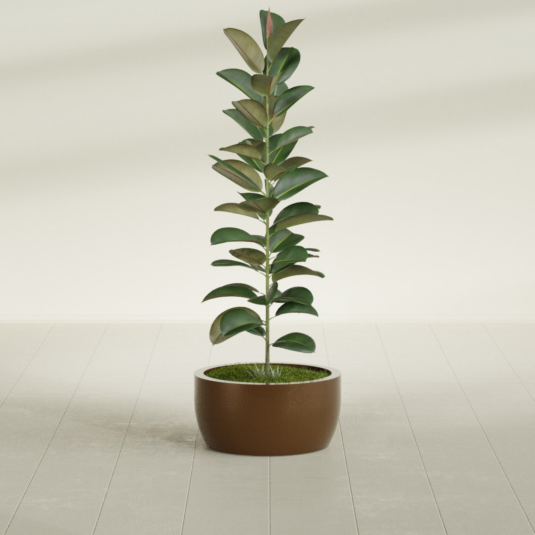 Casablanca Medium Round Low Bowl Fiberglass Planter - 20 in x 20 in x 10 in - Metallic Bronze - Metallic Bronze,20 in x 20 in x 10 in