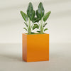 Darwin Large Rectangle Fiberglass Planter - 36 in x 24 in x 42 in - Gloss Tangerine - Gloss Tangerine,36 in x 24 in x 42 in