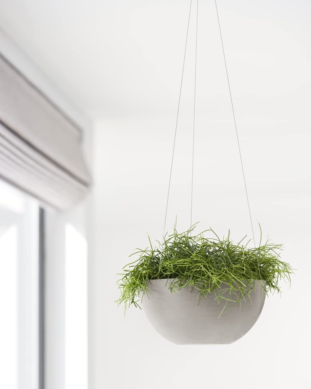Hanging Brussels Small Bowl Planter - 10.5 in x 10.5 in x 5 in - Taupe - Taupe,10.5 in x 10.5 in x 5 in