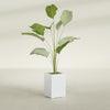 Tolga Medium Rectangle Fiberglass Planter - 16 in x 16 in x 24 in - Gloss White - Gloss White,16 in x 16 in x 24 in