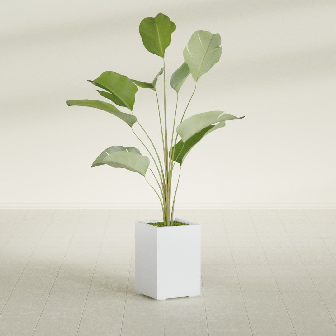 Tolga Medium Rectangle Fiberglass Planter - 16 in x 16 in x 24 in - Gloss White - Gloss White,16 in x 16 in x 24 in
