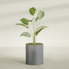 Rio Grande Medium Round Fiberglass Planter - 18 in x 18 in x 20 in - Metallic Gunmetal - Metallic Gunmetal,18 in x 18 in x 20 in