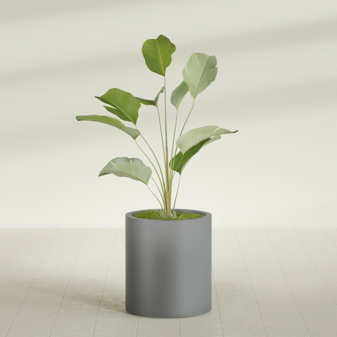 Rio Grande Medium Round Fiberglass Planter - 18 in x 18 in x 20 in - Metallic Gunmetal - Metallic Gunmetal,18 in x 18 in x 20 in