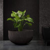 Roco - 36.6in diam. x 19.3in - Brown Stone - Brown Stone,36.6 in diam. x 19.3 in