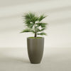 Brannan Large Round Fiberglass Planter - 24 in x 24 in x 35 in - Matte Bronze - Matte Bronze,24 in x 24 in x 35 in