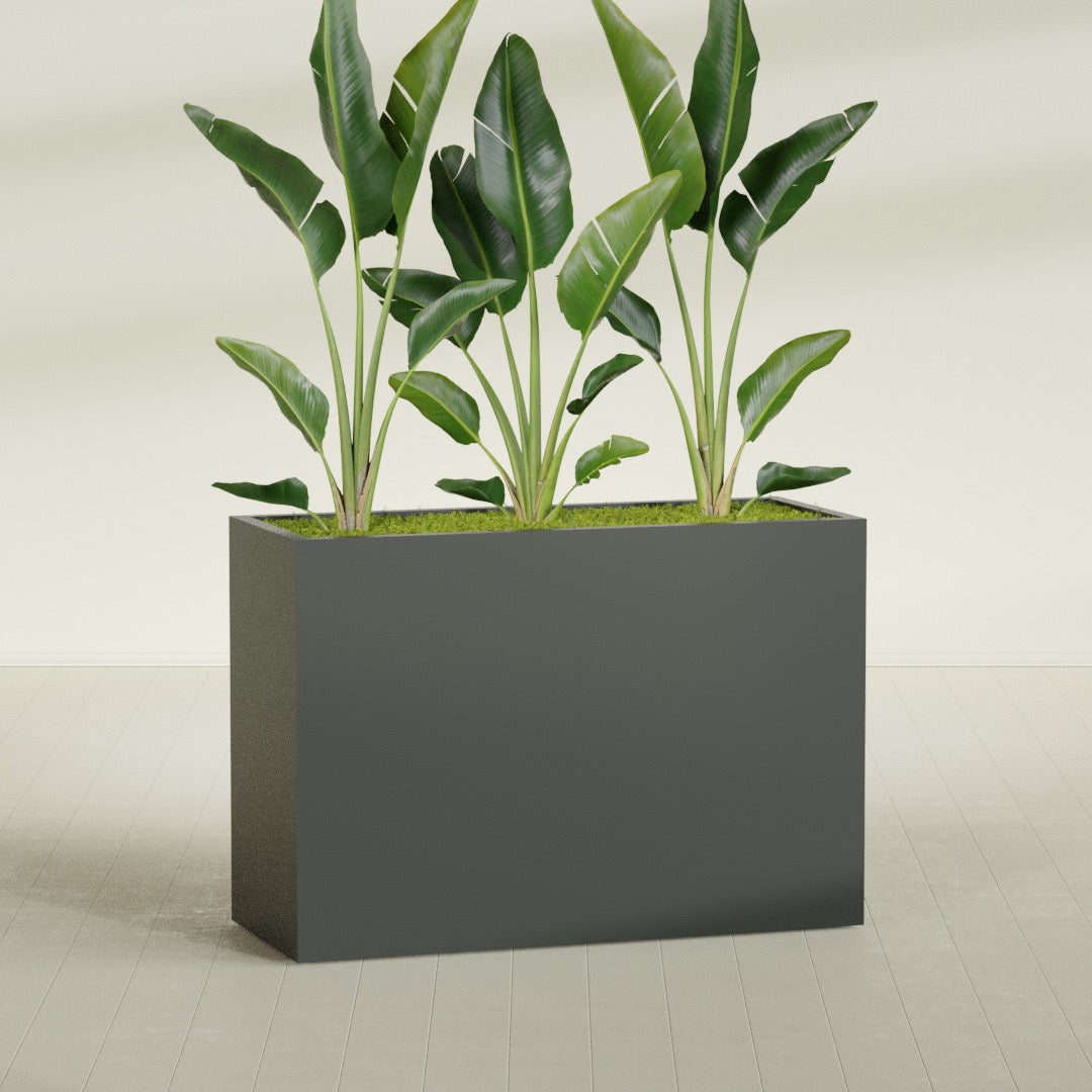Darwin Extra Large Long Rectangle Fiberglass Planter - 60 in x 24 in x 42 in - Matte Charcoal - Matte Charcoal,60 in x 24 in x 42 in