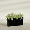 Hollywood Extra Large Narrow Rectangle Fiberglass Planter - 48 in x 12 in x 24 in - Gloss Black - Gloss Black,48 in x 12 in x 24 in