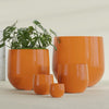 Westfield - 10in diam. x 9in - Gloss Tangerine - Gloss Tangerine,10 in diam. x 9 in H