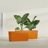 Panama Large Long Rectangle Fiberglass Planter - 36 in x 12 in x 18 in - Gloss Tangerine - Gloss Tangerine,36 in x 12 in x 18 in