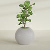 Globe - 30in diam. x 24in - StoneLight - Greystone - StoneLight - Greystone,30 in x 30 in x 25 in