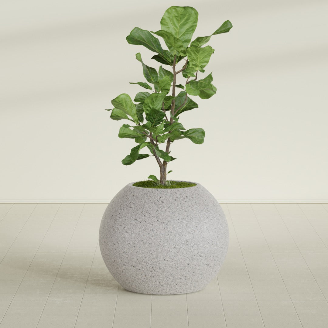 Globe - 30in diam. x 24in - StoneLight - Greystone - StoneLight - Greystone,30 in x 30 in x 25 in
