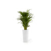 Amsterdam High Large Round Planter - 16 in x 16.25 in x 30 in - Pure White - Pure White,16 in x 16.25 in x 30 in,Planter Only