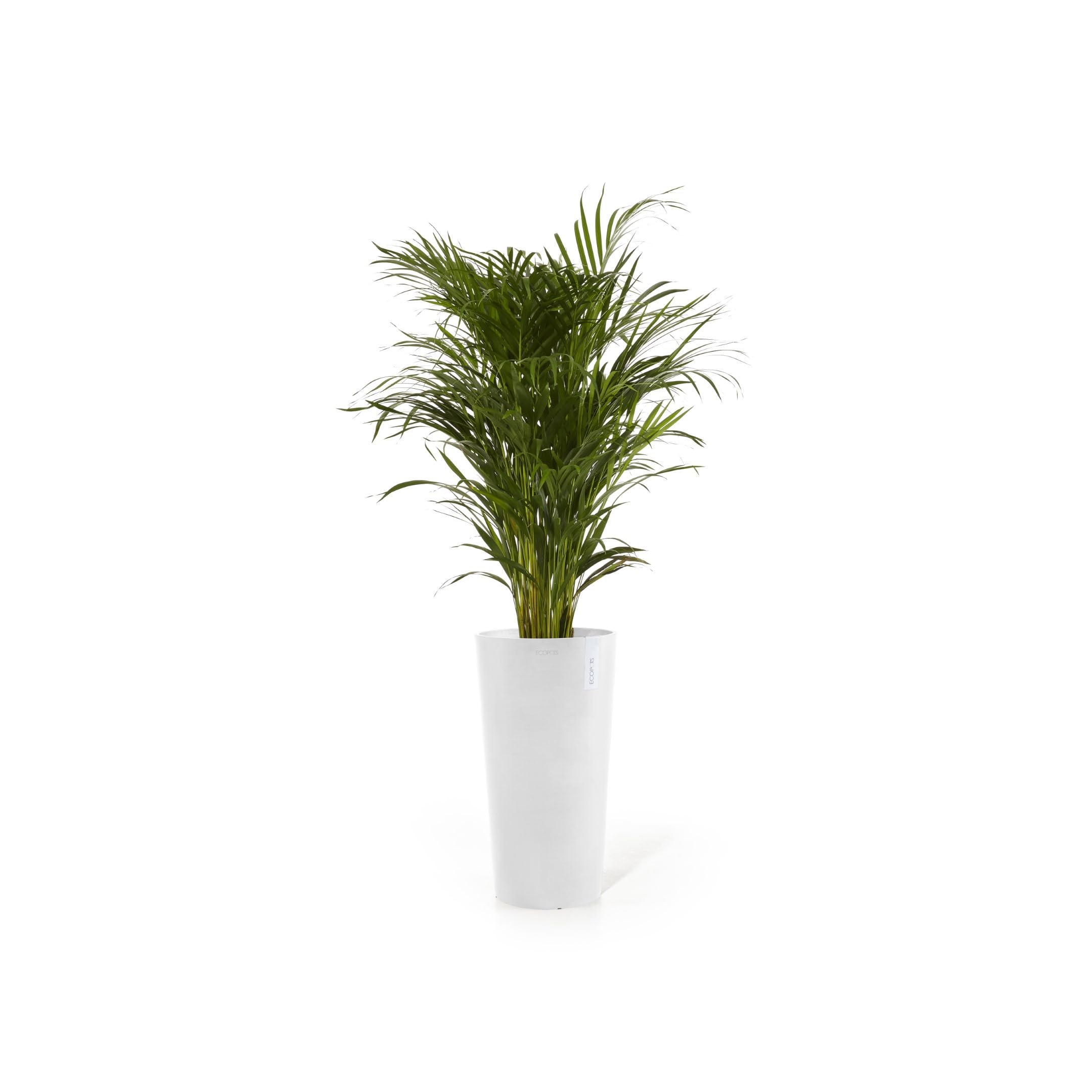 Amsterdam High Large Round Planter - 19.5 in x 19.5 in x 35.5 in - Pure White - Pure White,19.5 in x 19.5 in x 35.5 in,Planter Only
