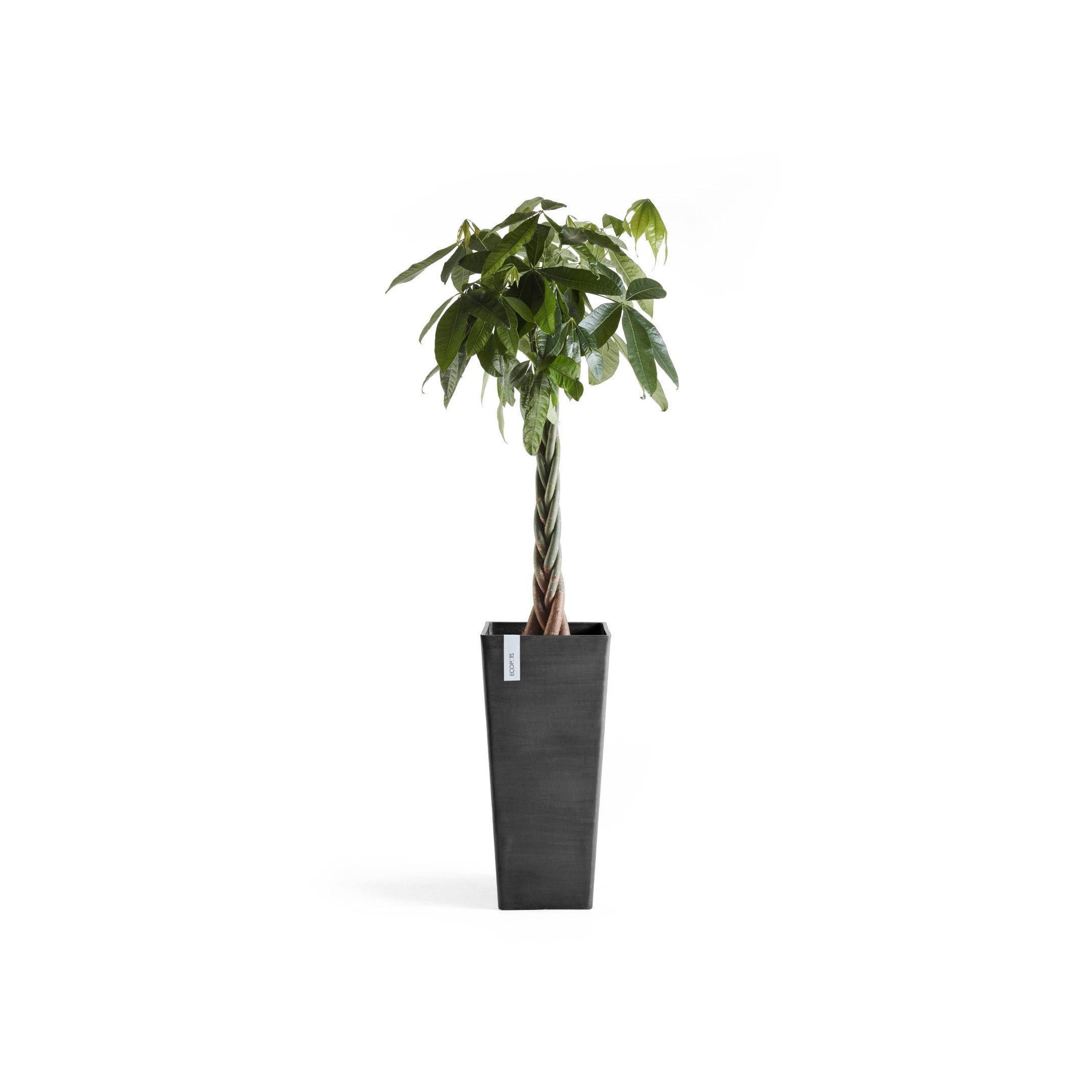 Rotterdam Medium Tall Square Planter - 12.6 in x 12.6 in x 27.5 in - Dark Grey - Dark Grey,12.5 in x 12.5 in x 27.5 in,Planter Only