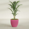 Wannsee Large Round Fiberglass Planter - 33 in x 33 in x 29 in - Gloss Pink Violet - Gloss Pink Violet,33 in x 33 in x 29 in