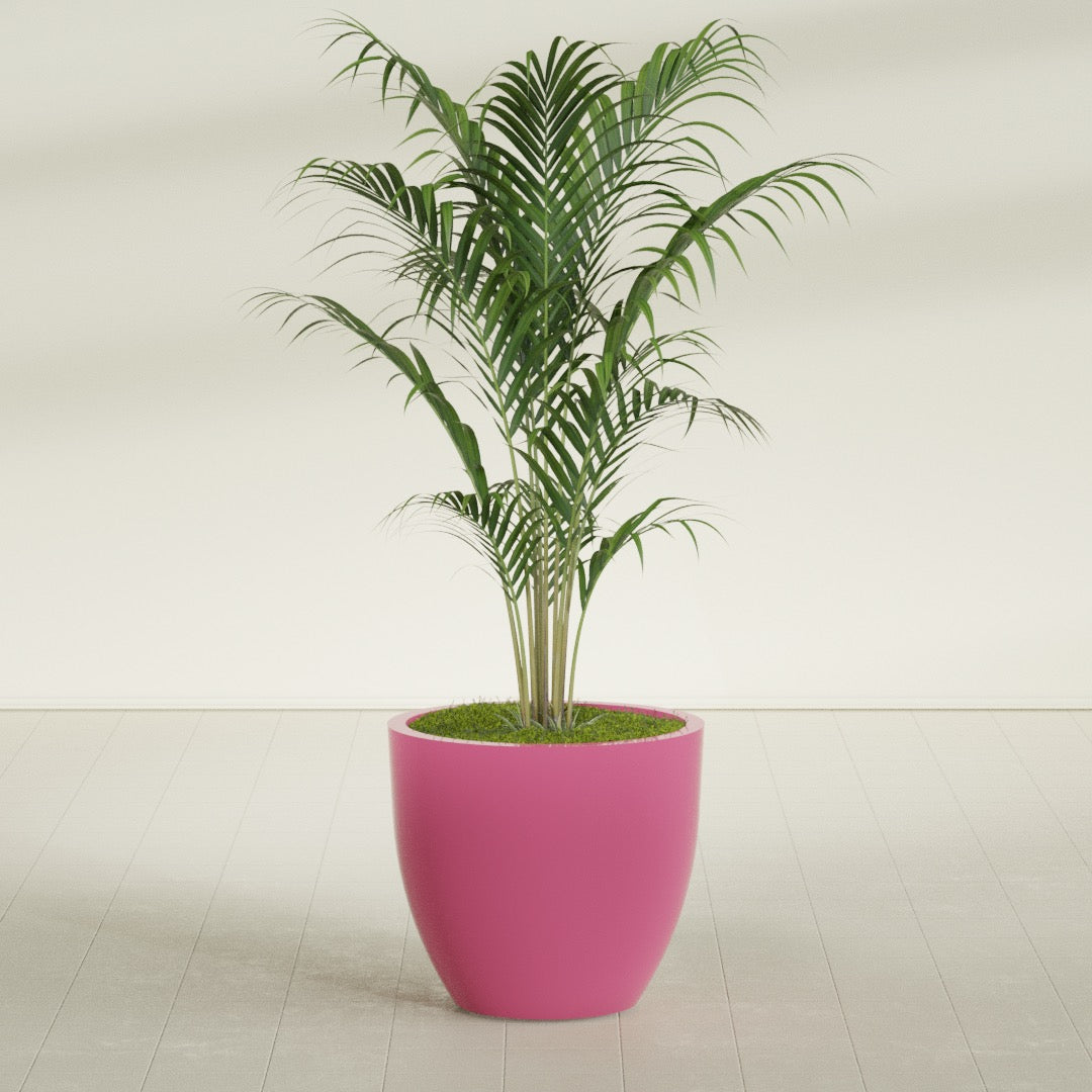 Wannsee Large Round Fiberglass Planter - 33 in x 33 in x 29 in - Gloss Pink Violet - Gloss Pink Violet,33 in x 33 in x 29 in