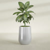 Tall Hayden Medium Round Fiberglass Planter - 15 in x 15 in x 23 in - Metallic Silver - Metallic Silver,15 in x 15 in x 23 in