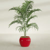 Fishbowl Small Round Fiberglass Planter - 16 in x 16 in x 14 in - Gloss Red - Gloss Red,16 in x 16 in x 14 in