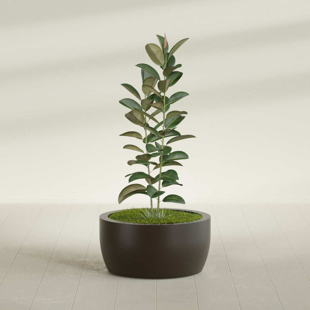 Casablanca Large Round Low Bowl Fiberglass Planter - 30 in x 30 in x 15 in - Matte Brown - Matte Brown,30 in x 30 in x 15 in