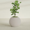 Globe - 30in diam. x 24in - StoneLight - Pearlstone - StoneLight - Pearlstone,30 in x 30 in x 25 in